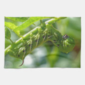 Tomato Hornworm Theedoek (Horizontaal)
