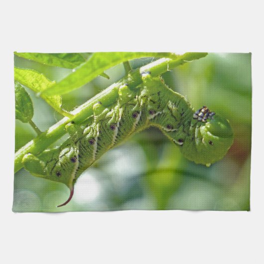 Tomato Hornworm Theedoek (Horizontaal)