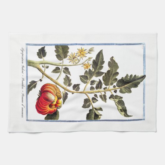 Tomato Kitchen Towel Theedoek (Horizontaal)