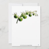 TOMATO PHOTO GARDEN PARTIJ INVITATIE GROEN CHERRY KAART (Achterkant)