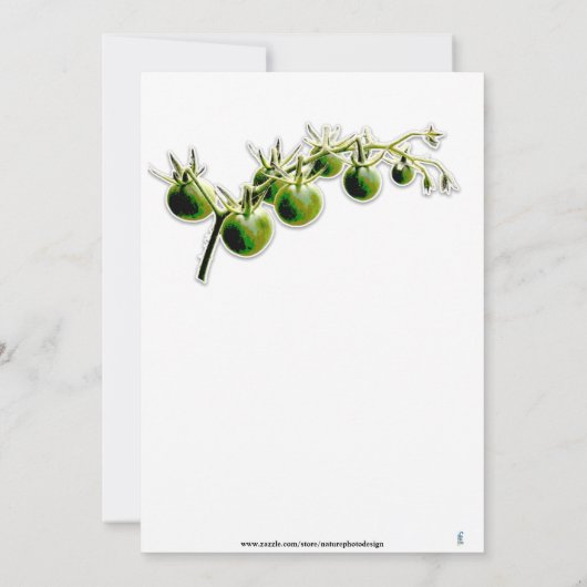 TOMATO PHOTO GARDEN PARTIJ INVITATIE GROEN CHERRY KAART (Achterkant)