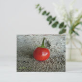 Tomato Sand Witch Briefkaart (Staand voorkant)