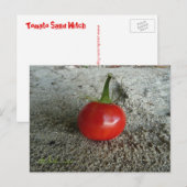 Tomato Sand Witch Briefkaart (Voorkant / Achterkant)
