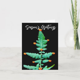 TOMATO TREE FOTO SEASONS GREETINGS KAART