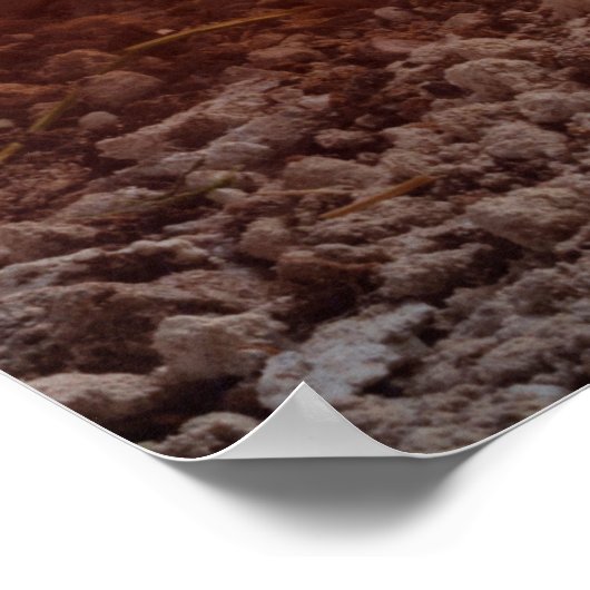 Tomb Empty met mantel bij zonnopende tomb van Jezu Poster (Hoek)