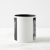 Tomb of Pepin "the Short" , koning van de Franken Mok (Midden)