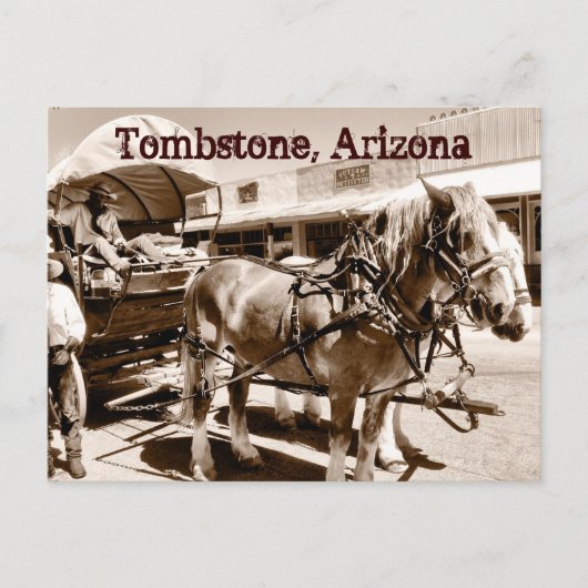 Tombstone Arizona Horses Covered Wagon Briefkaart (Voorkant)