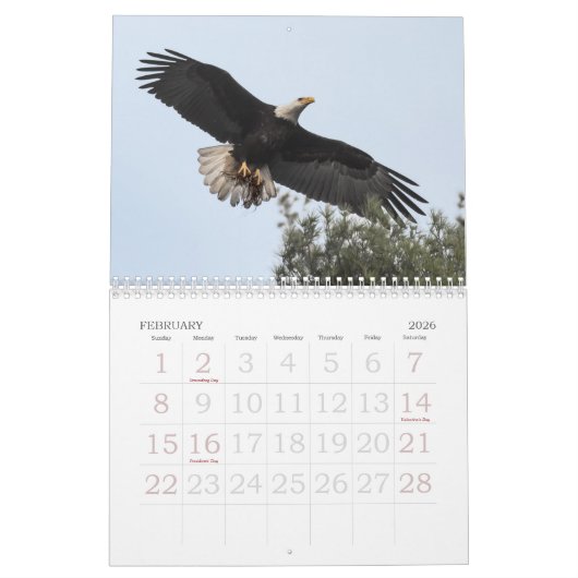 Tombstone Eagles Kalender (Feb 2026)