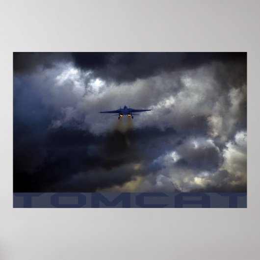 Tomcat Poster (Voorkant)