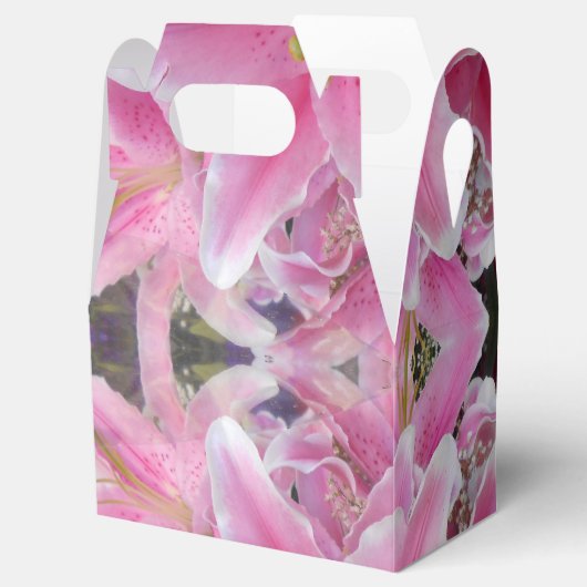 Tommasina Bedankdoosjes (Geopend)