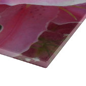 Tommasina Snijplank (Hoek)