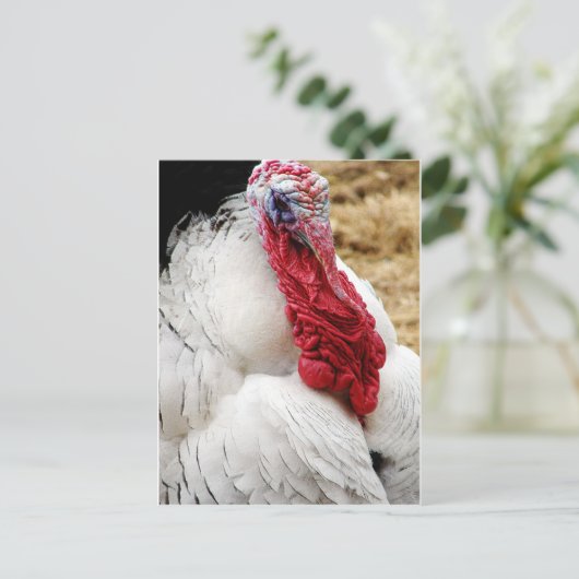 Tommy Briefkaart (Staand voorkant)