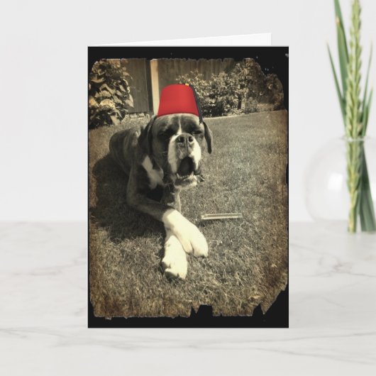 Tommy Cooper Boxer Dog Kaart (Voorkant)