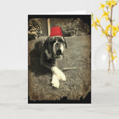 Tommy Cooper Boxer Dog Kaart (Gele Bloem)