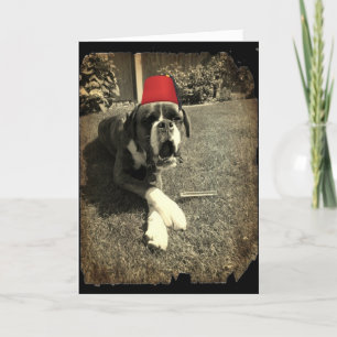 Tommy Cooper Boxer Dog Kaart