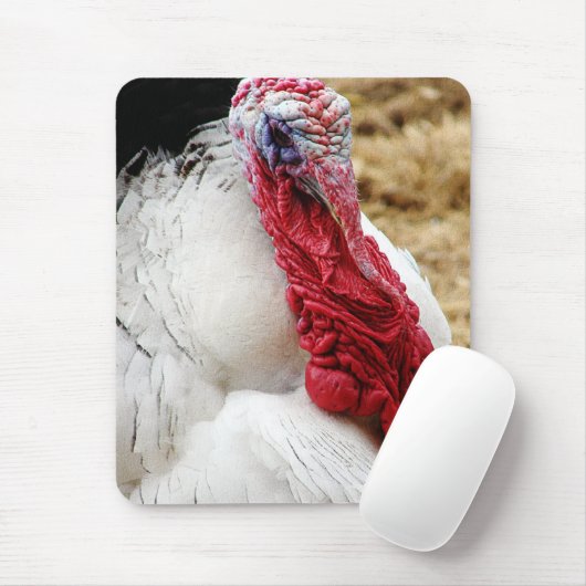 Tommy Muismat (Met muis)