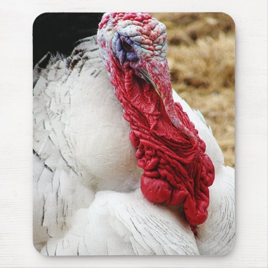 Tommy Muismat (Voorkant)