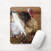 Tommy Muismat (Met muis)