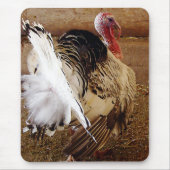 Tommy Muismat (Voorkant)