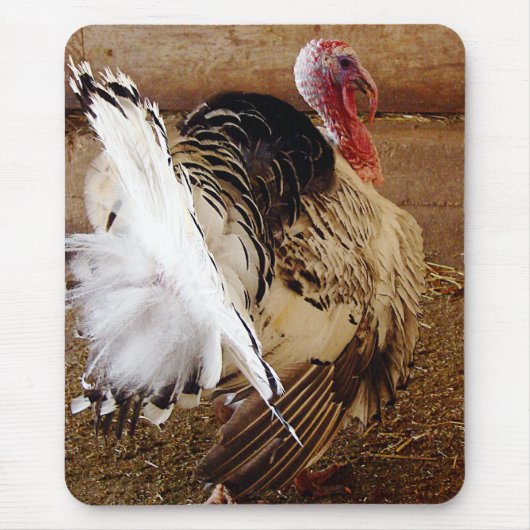 Tommy Muismat (Voorkant)