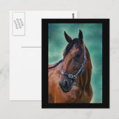 Tommy Standardbred Horse Art Briefkaart (Voorkant / Achterkant)