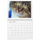 Tommy the Tabby Kalender (Mar 2026)