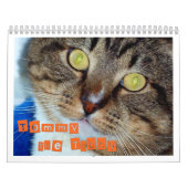 Tommy the Tabby Kalender (Hoes)