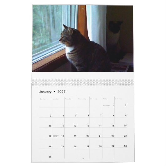 Tommy the Tabby Kalender (Jan 2027)