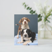 Tommy & Toby Briefkaart (Staand voorkant)