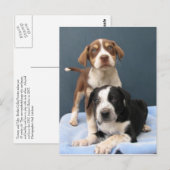 Tommy & Toby Briefkaart (Voorkant / Achterkant)