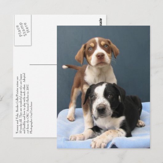 Tommy & Toby Briefkaart (Voorkant / Achterkant)