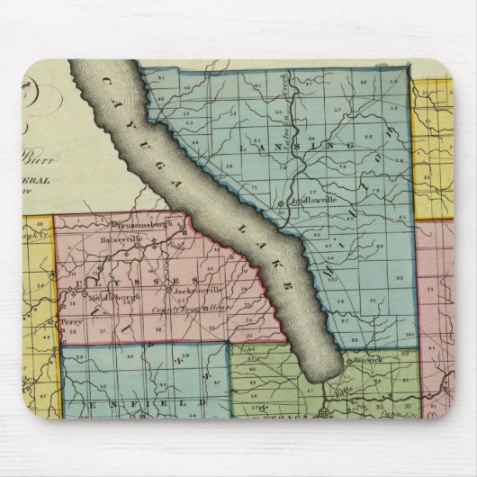 Tompkins County Muismat (Voorkant)