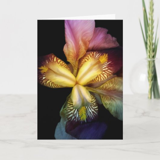 Toms Irises Kaart (Voorkant)