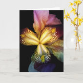 Toms Irises Kaart (Gele Bloem)
