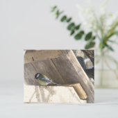 tomtit_3 briefkaart (Staand voorkant)
