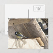 tomtit_3 briefkaart (Voorkant / Achterkant)