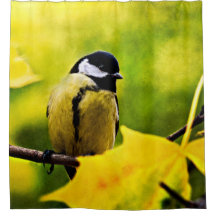 Tomtit - naar het seizoen gedrukt