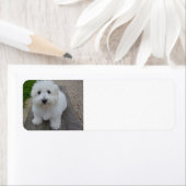 ton op de bank etiket (Insitu)