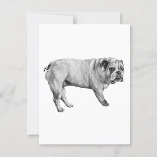 Tonal Bulldog Ansichtkaart Briefkaart