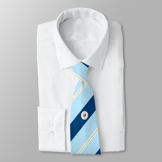 Tonawanda (New York) Stropdas vlag (Gebonden)