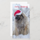 tong uit Leonberger Feestdagenkaart (Voorkant / Achterkant)