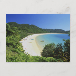Tonga Bay, Abel Tasman NP, South Island, New Briefkaart
