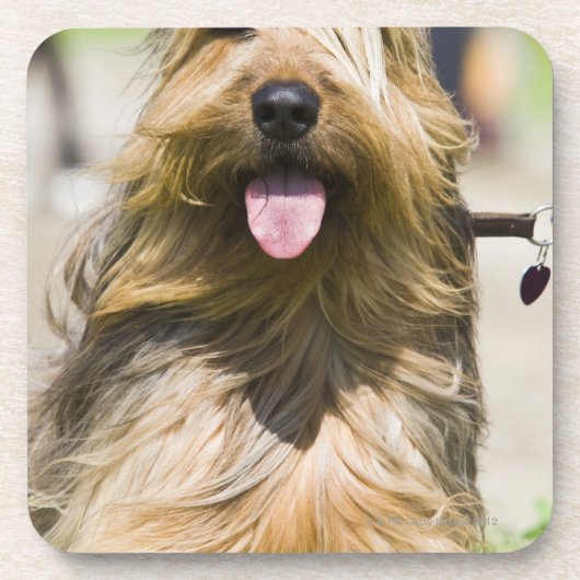 tongen, lange haren, portret bier onderzetter (Voorkant)