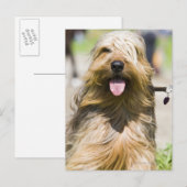 tongen, lange haren, portret briefkaart (Voorkant / Achterkant)