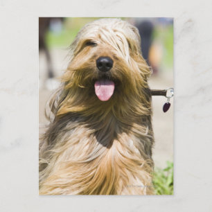 tongen, lange haren, portret briefkaart