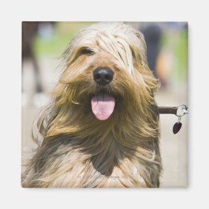 tongen, lange haren, portret magneet