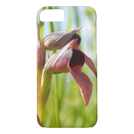Tongue Orchid iPhone Case (Achterkant)