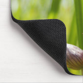 Tongue Orchid Mouse Mat Muismat (Hoek)