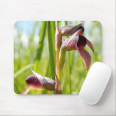 Tongue Orchid Mouse Mat Muismat (Met muis)