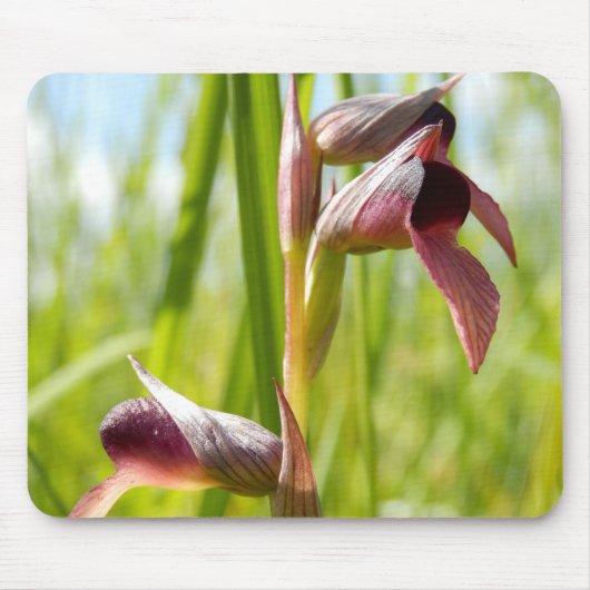 Tongue Orchid Mouse Mat Muismat (Voorkant)